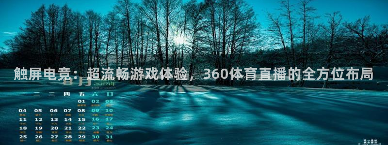 触屏电竞：超流畅游戏体验，360体育直播的全方位布局